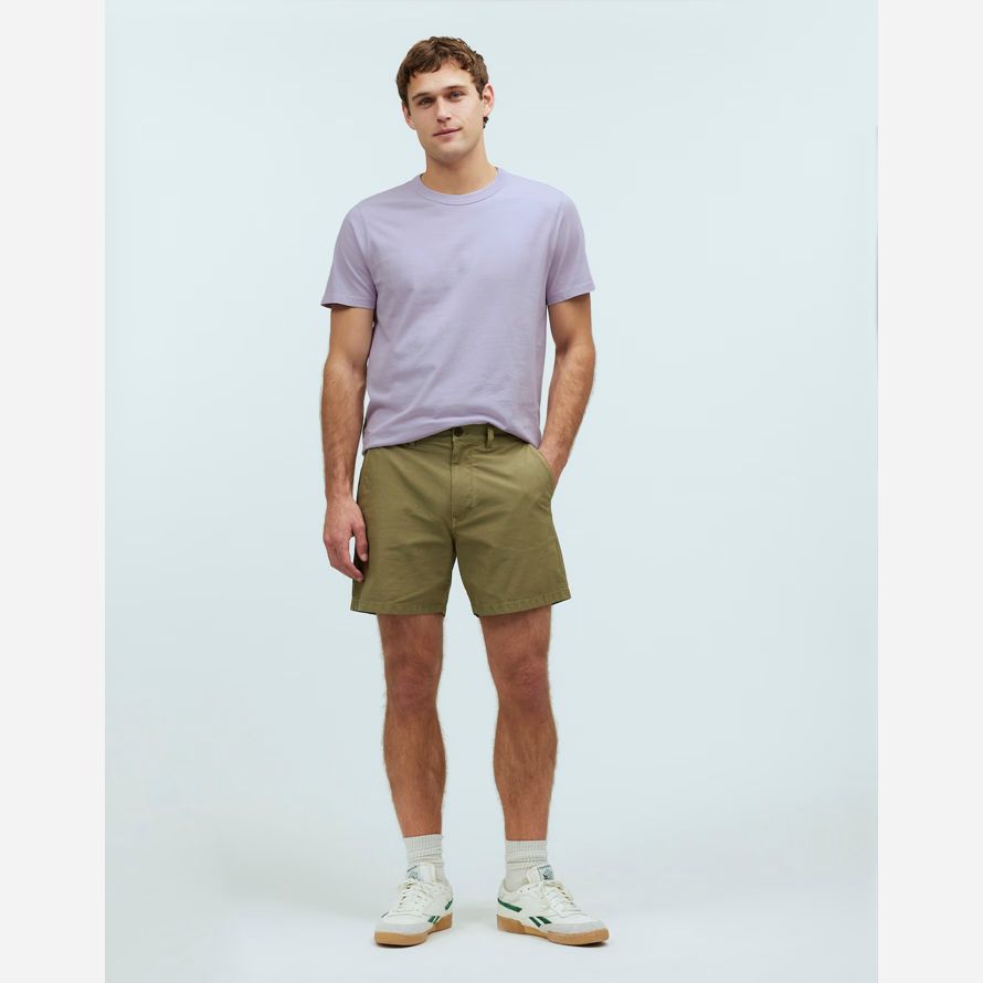 licht lila herren madewell garment-dyed allday crewneck t-shirts