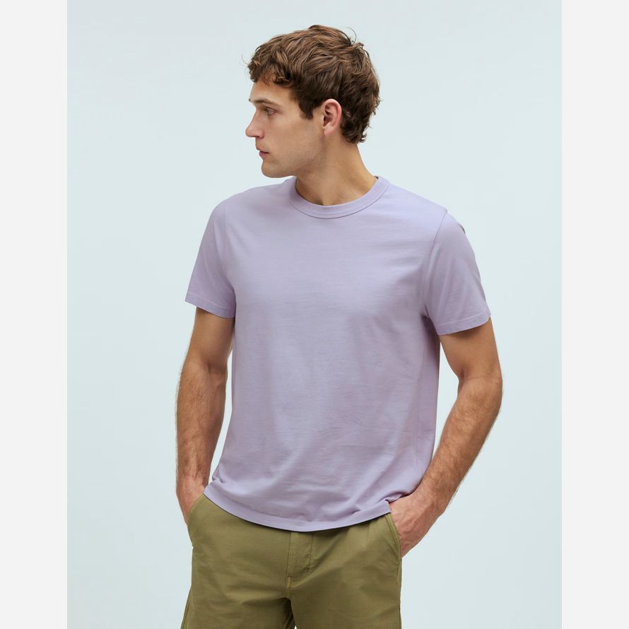 licht lila herren madewell garment-dyed allday crewneck t-shirts