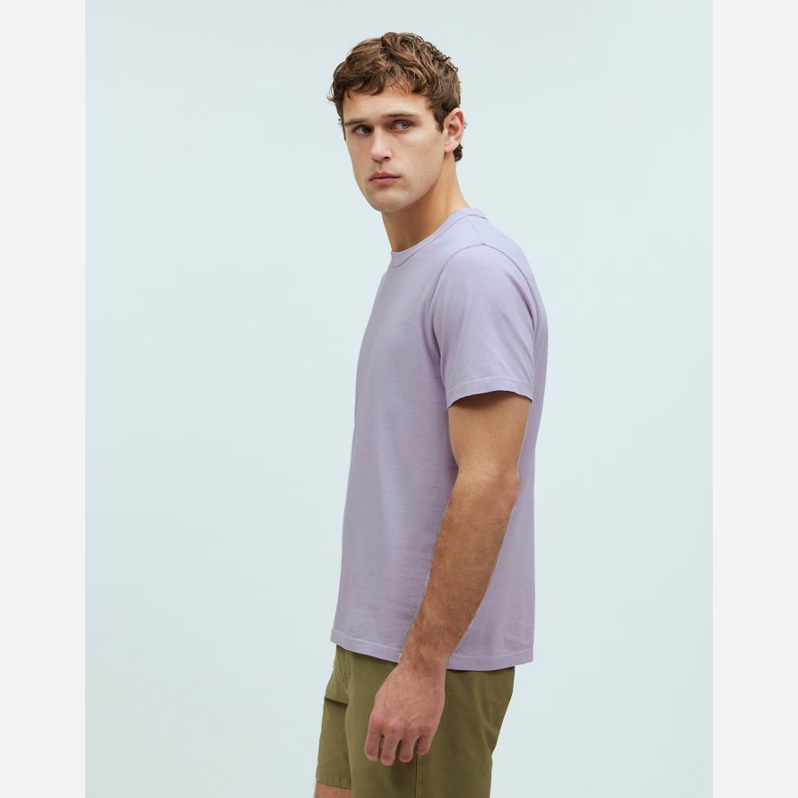 licht lila herren madewell garment-dyed allday crewneck t-shirts
